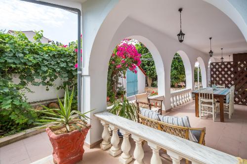 alikes alykes to konaki Zakynthos